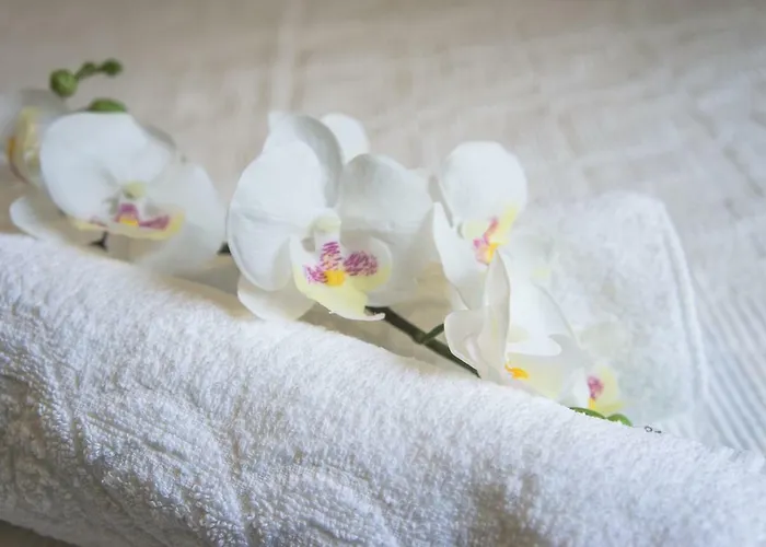 Summer Bliss Rethymno